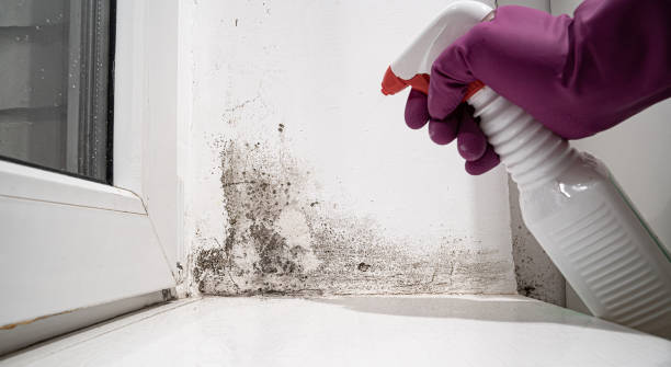 Best Residential water damage restoration  in USA